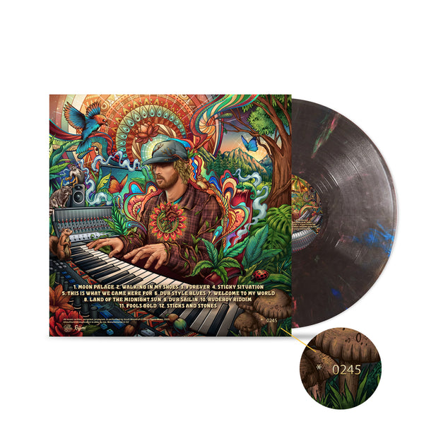 Free Flow Sessions (2025) - Vinyl [PRE-ORDER]